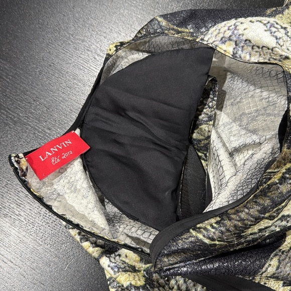 Lanvin Alber Elbaz 2012 Python Snake Sheen Sheath Silk Runway Dress - Size 38 - Picture 11 of 16